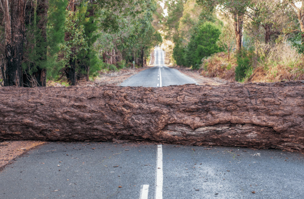 How to Handle Unexpected Events During a Move