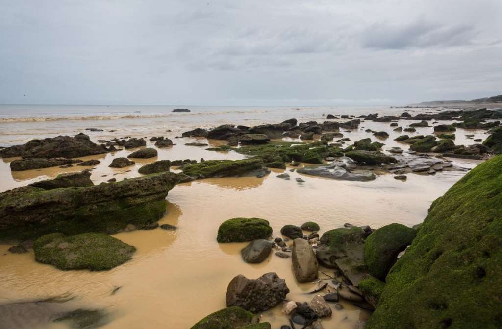 El Nino Preparedness: A Comprehensive Guide by Centric Movers